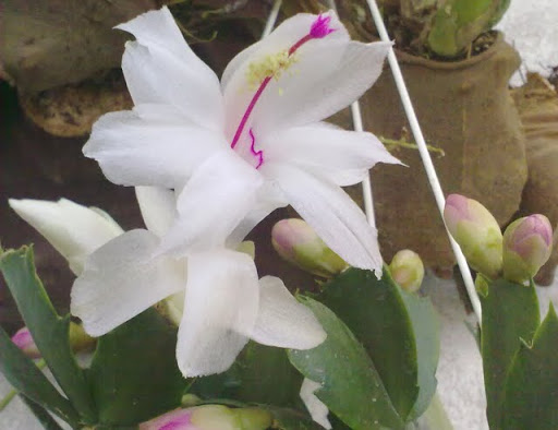 190520113058.jpg