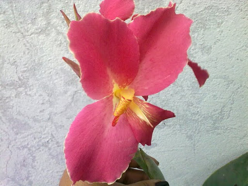 190520113062.jpg