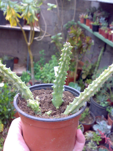 190520115513.jpg