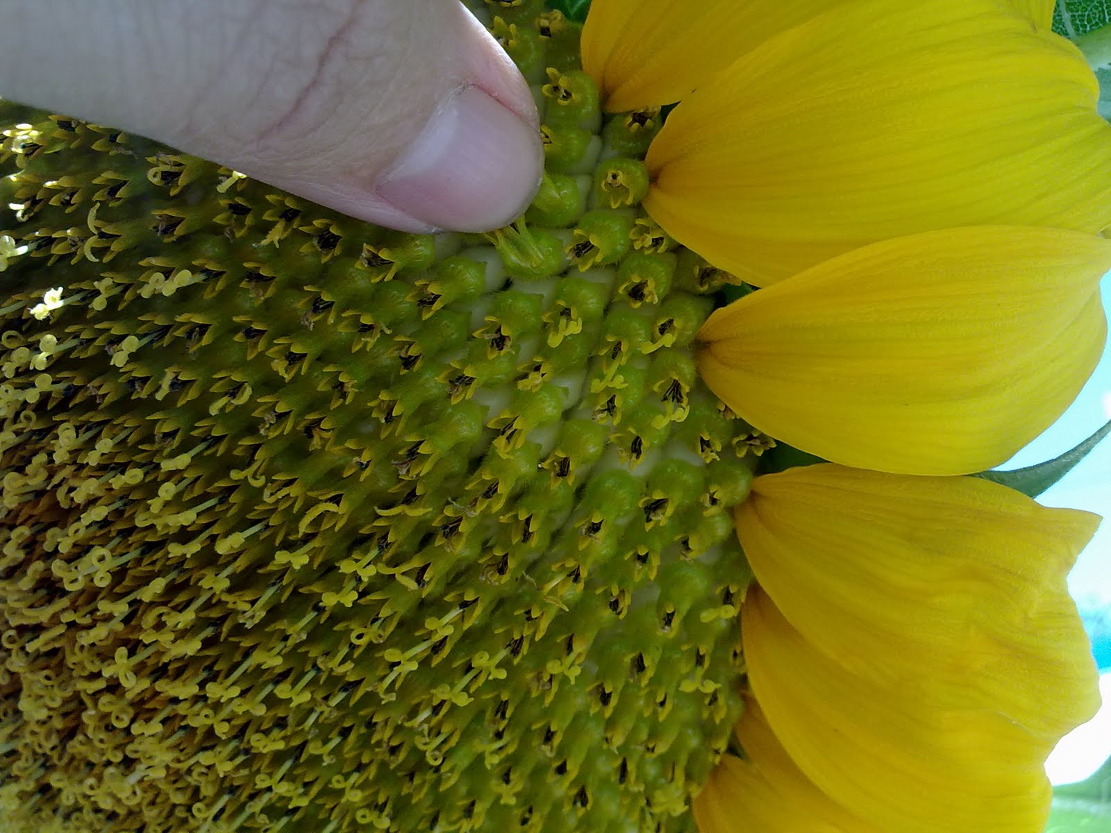190720101565.jpg