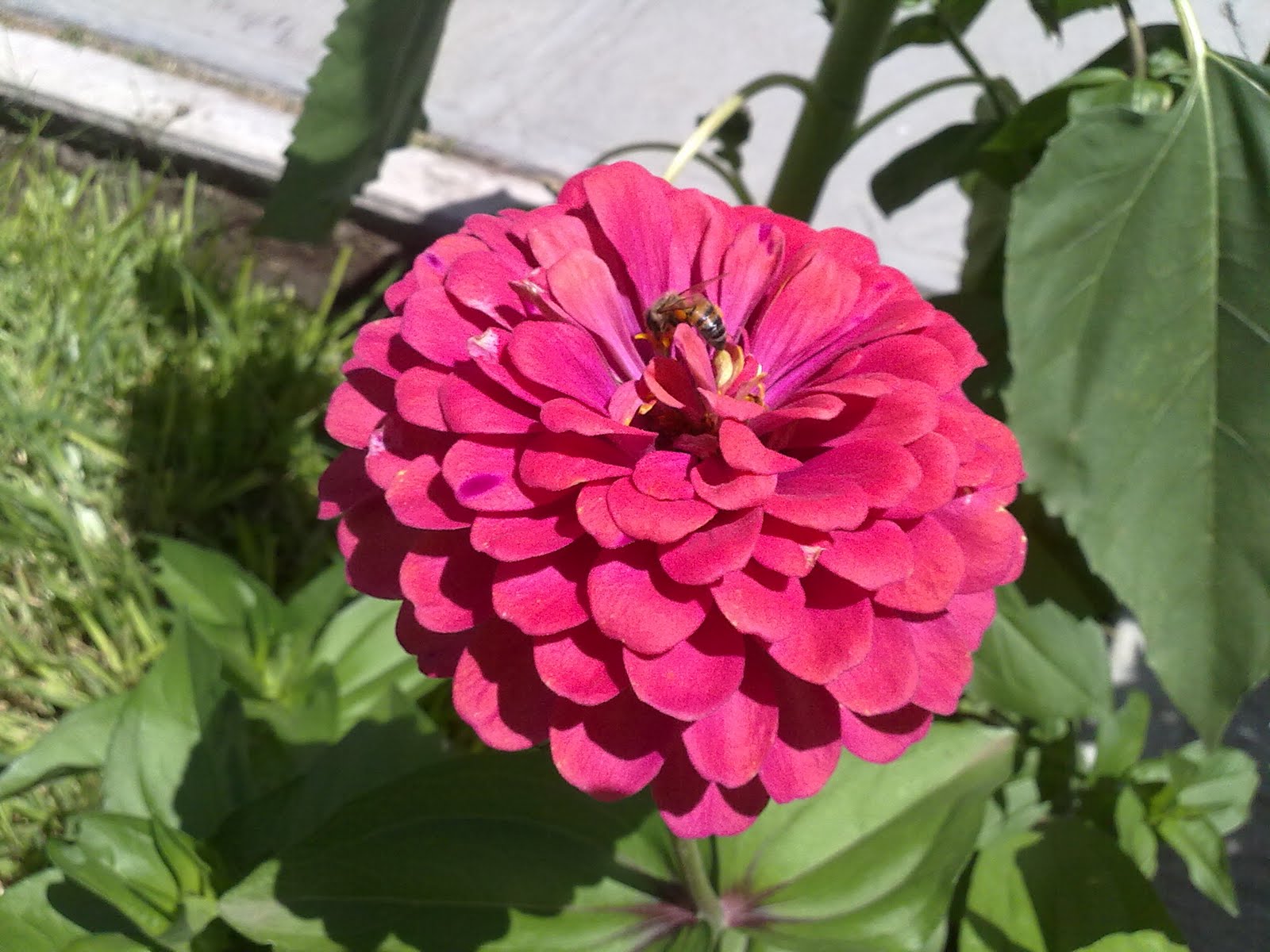 190720101569.jpg
