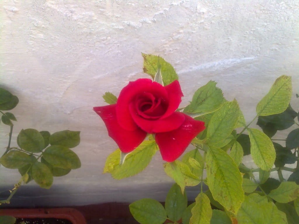 19072010612.jpg