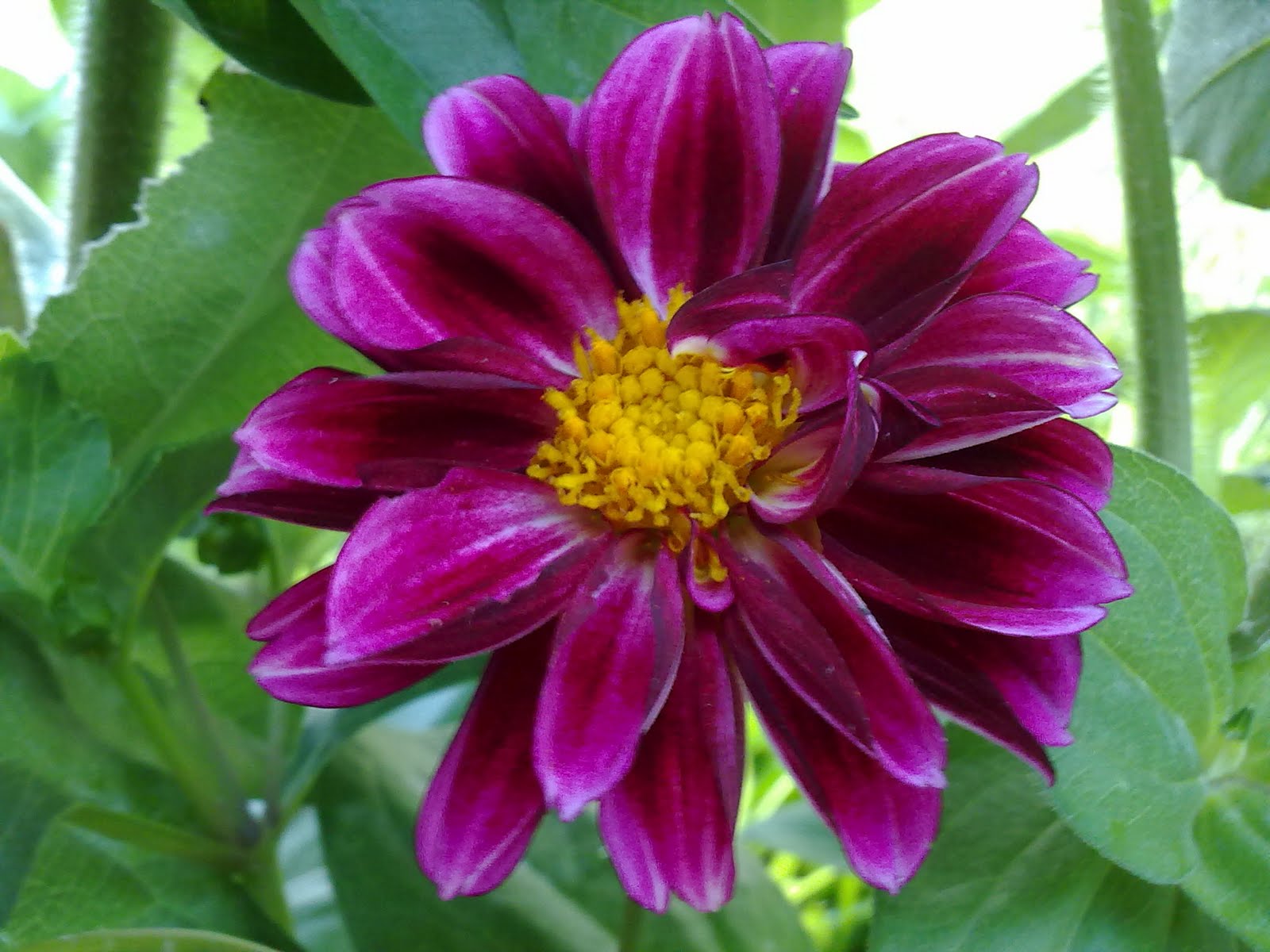 190820102851.jpg