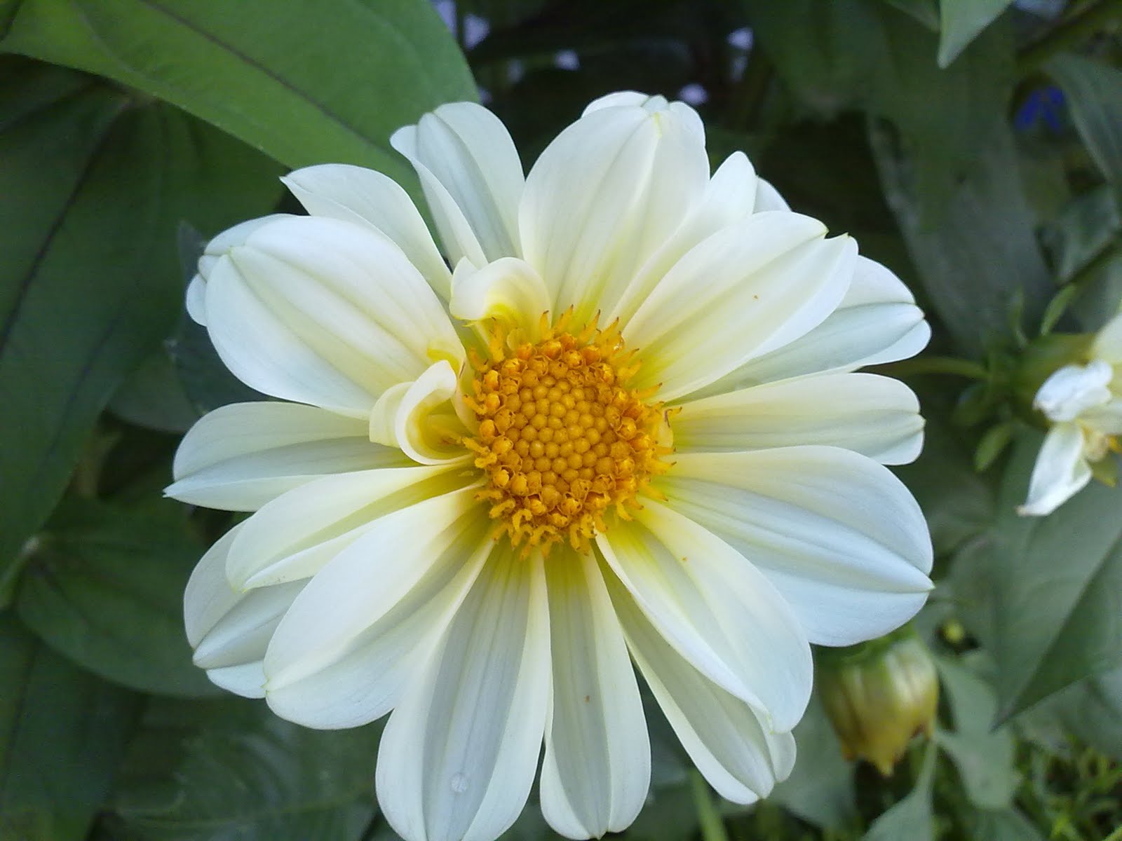 190820102852.jpg