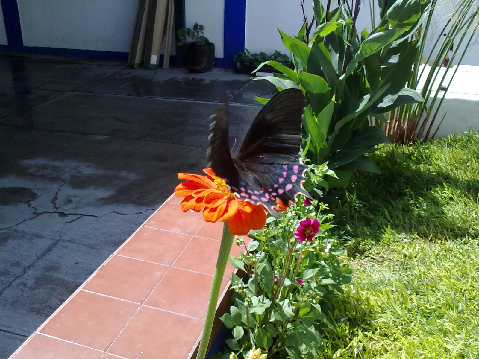 190820102862.jpg