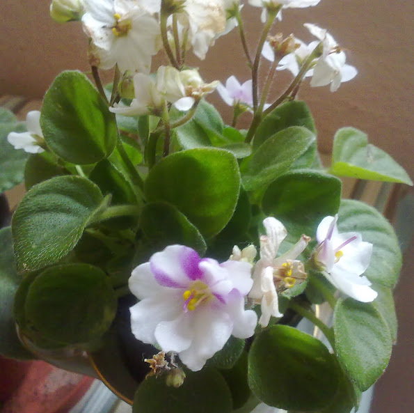 190820122554.jpg