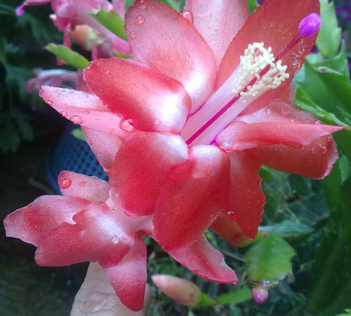 190820122562.jpg
