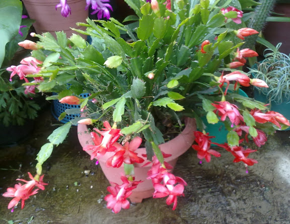 190820122563.jpg