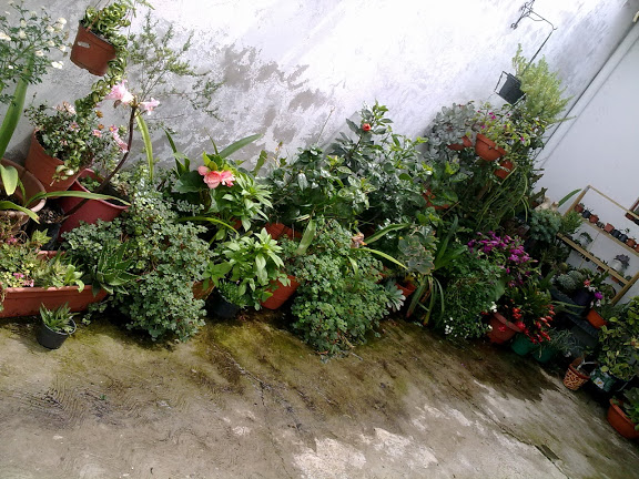 190820122630.jpg