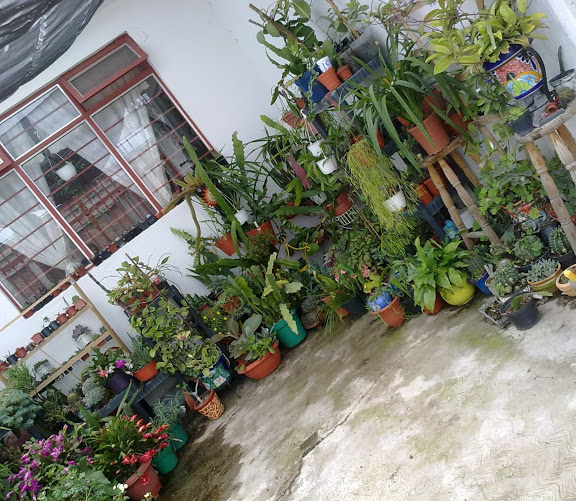 190820122631.jpg