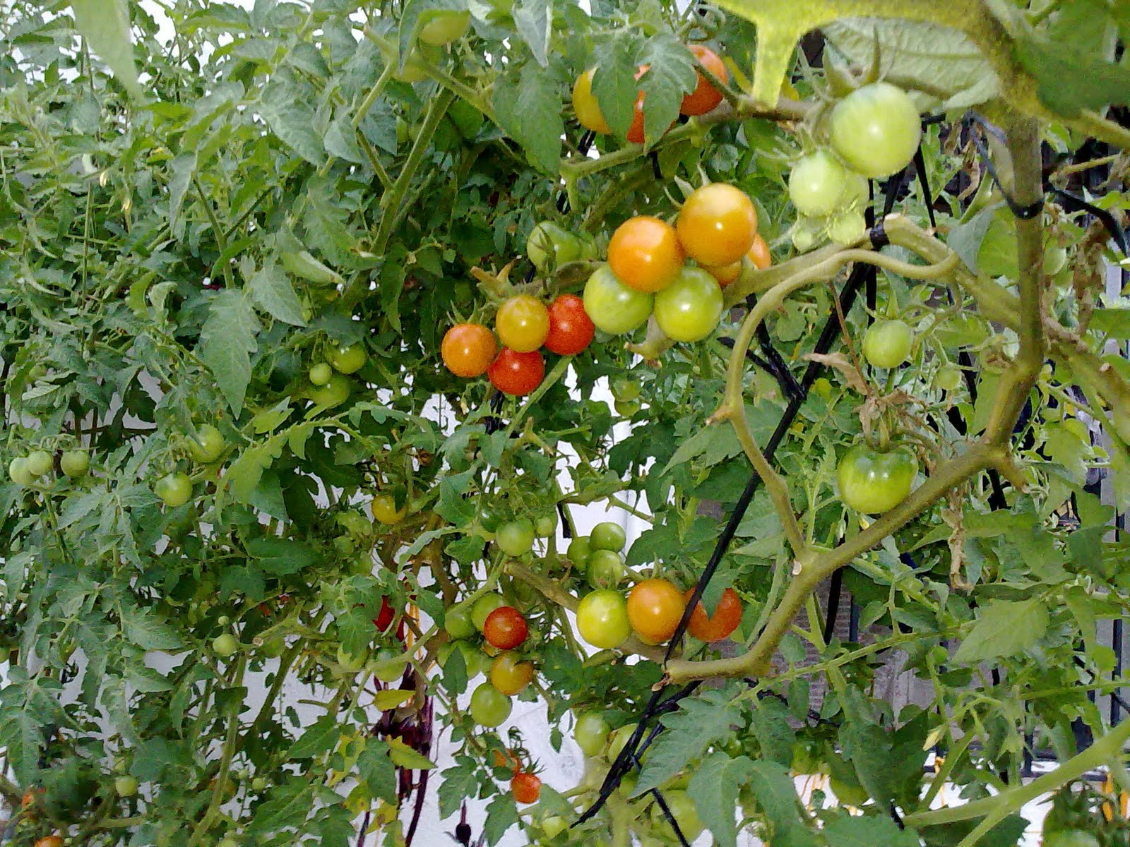 190920103611.jpg