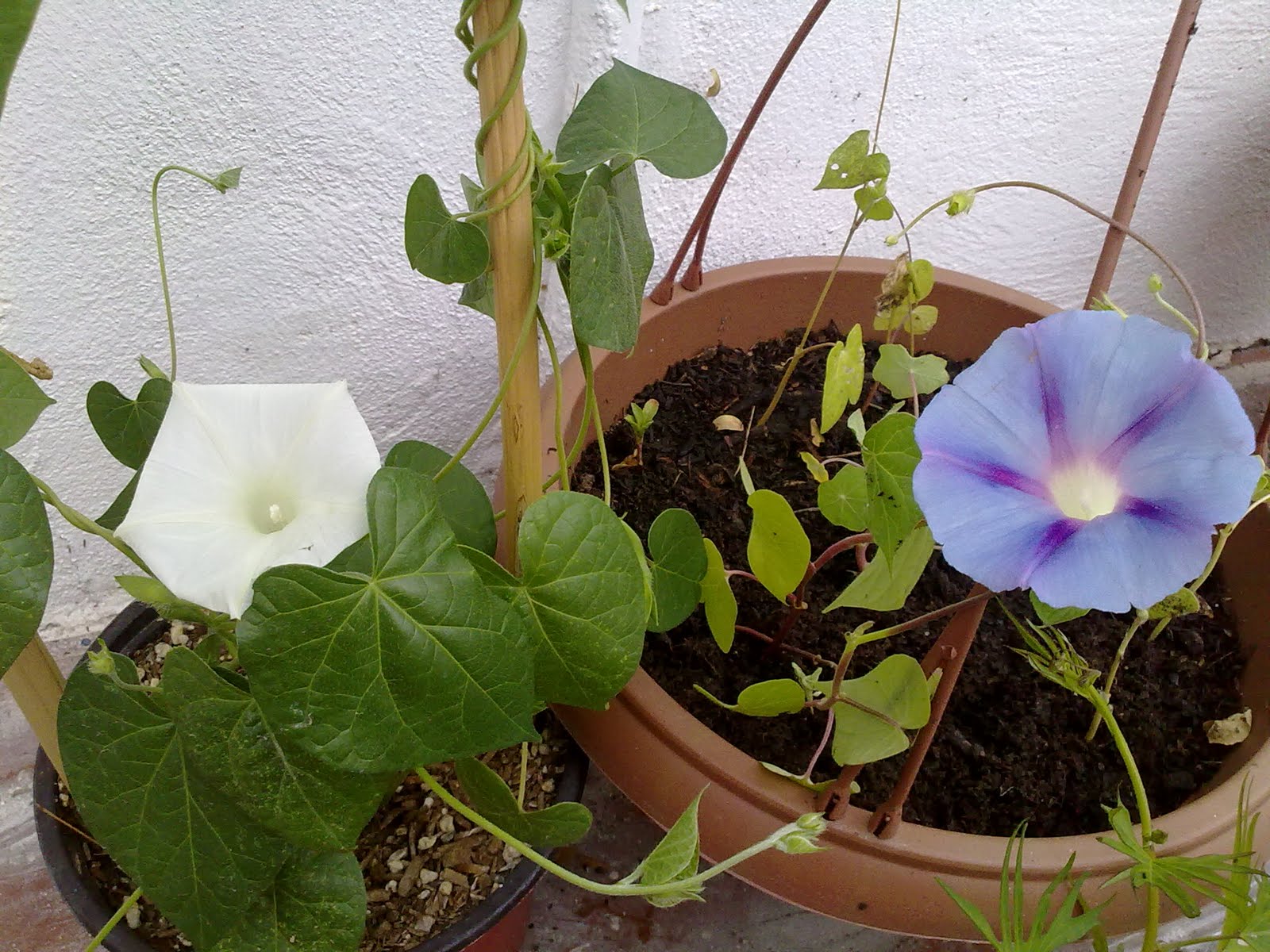 190920103631.jpg