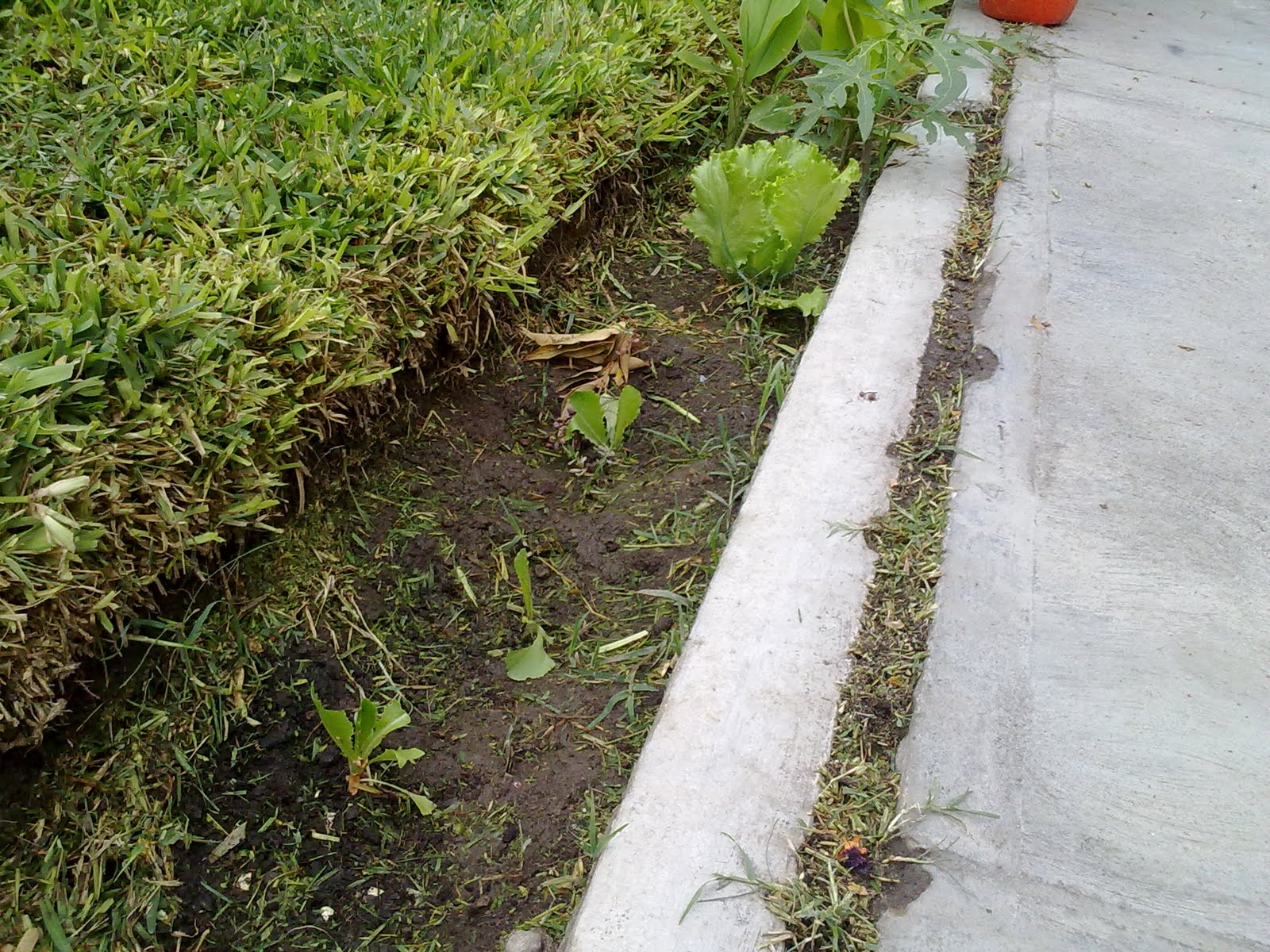 190920103639.jpg