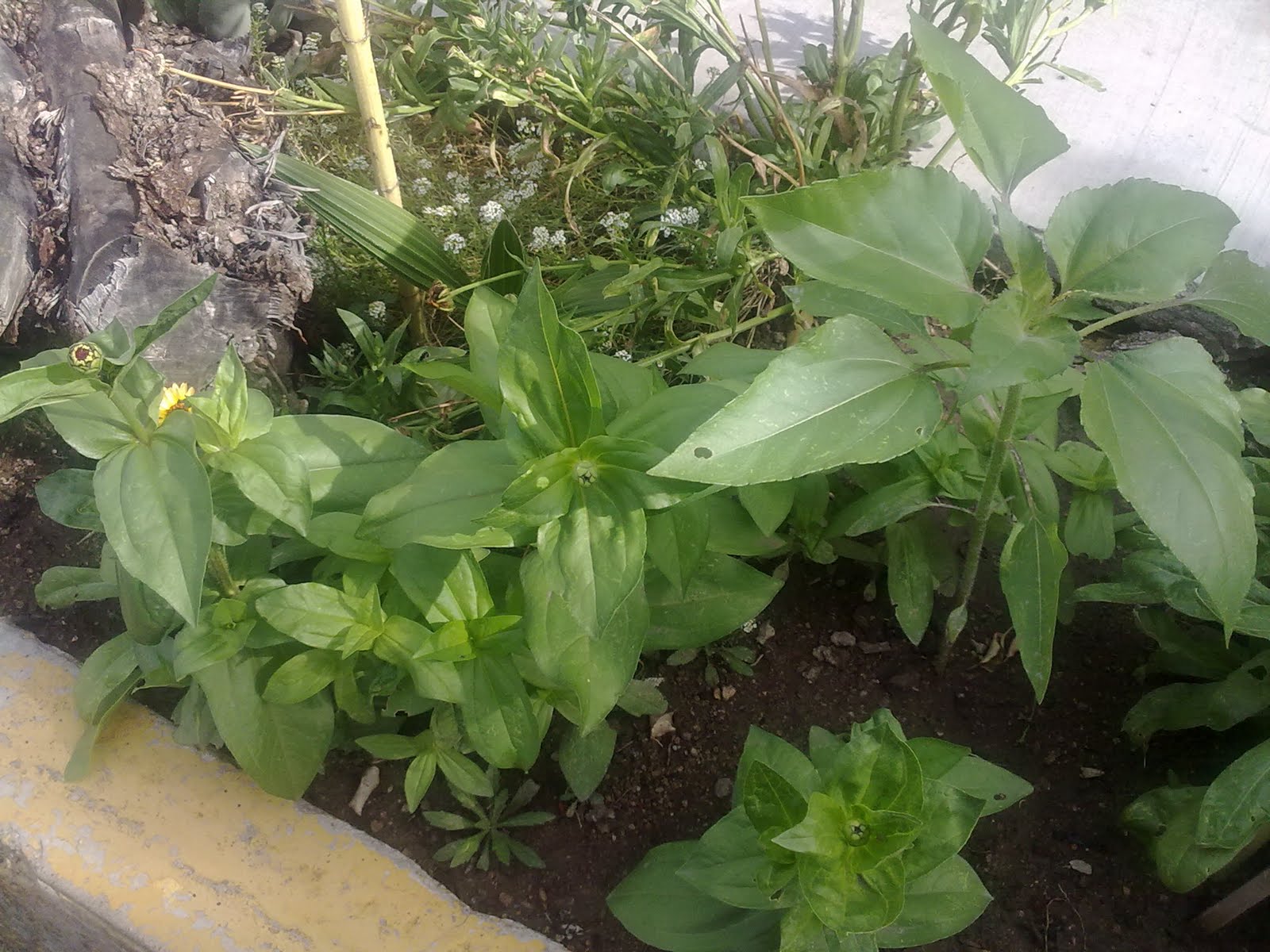 190920103647.jpg