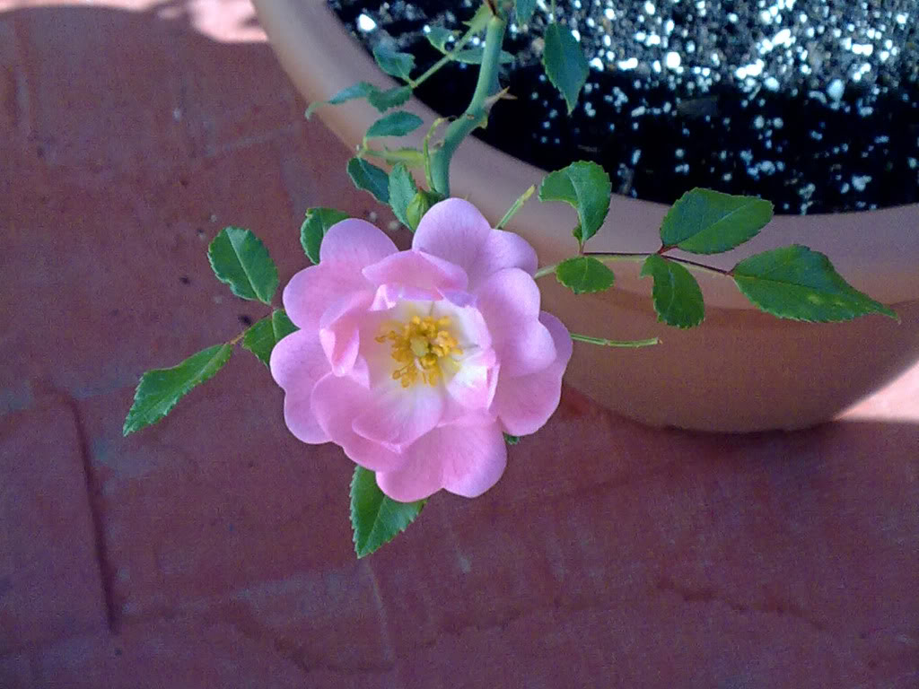 19102010969.jpg
