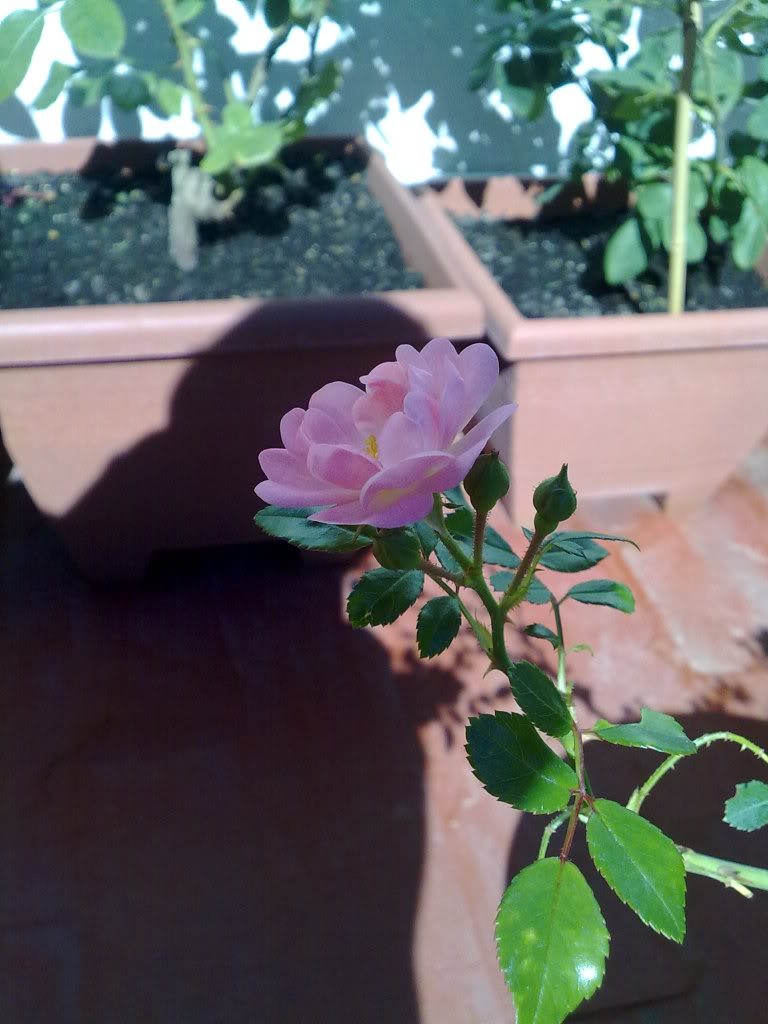19102010971.jpg