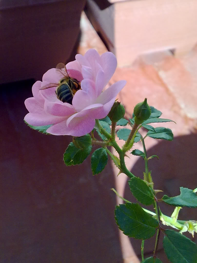 19102010974.jpg
