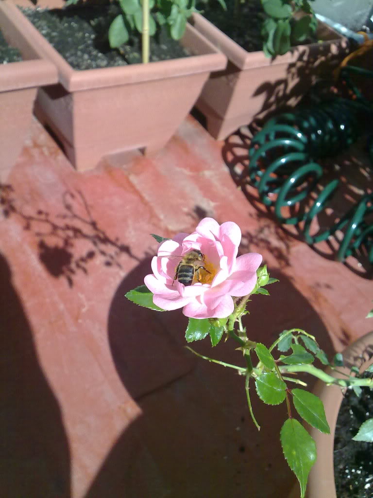 19102010975.jpg