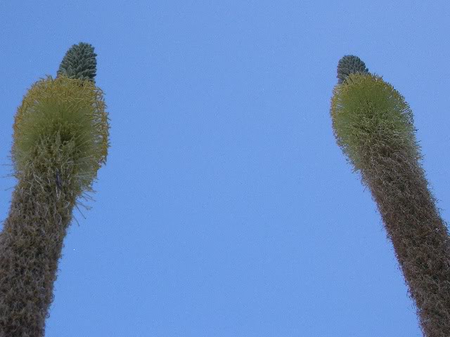194b89df.jpg