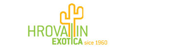 1993.jpg
