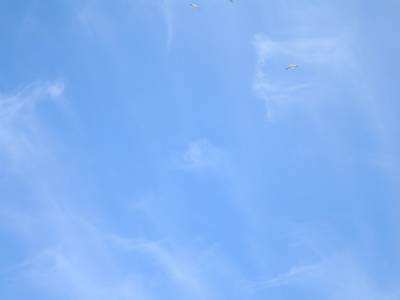 19_octubre_015.jpg