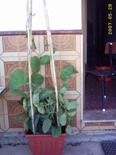 19d01487.jpg