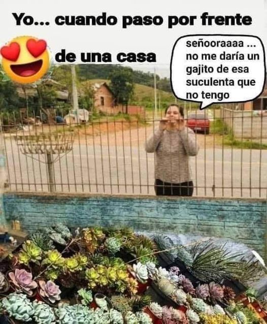 1a49eaafb3d582541829c1bcd71cba3b.jpg