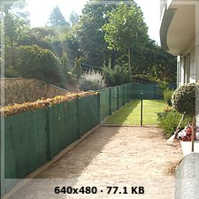 1a6314702695be814d752fe13723e398o.jpg