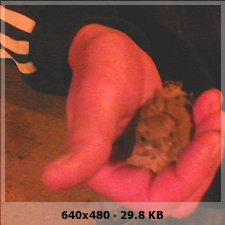 1bc492aeda2b0027311b25b5abcfcfeco.jpg