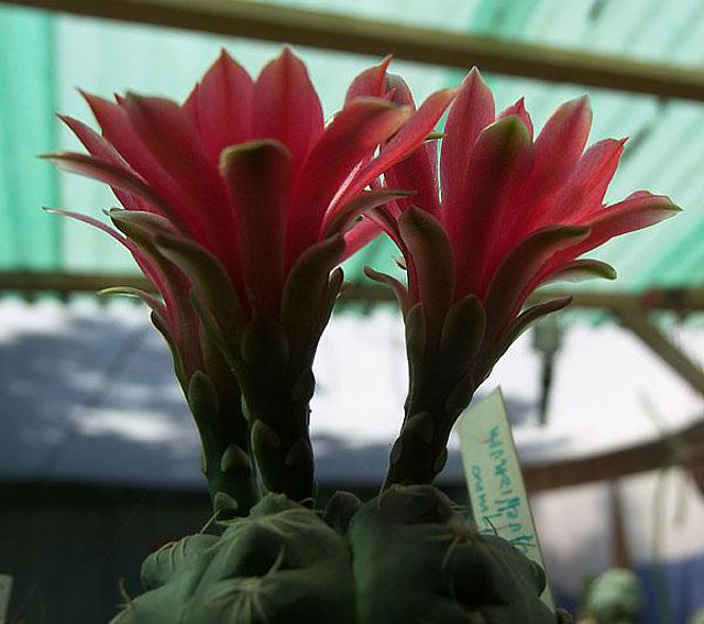 1c535f5c.jpg