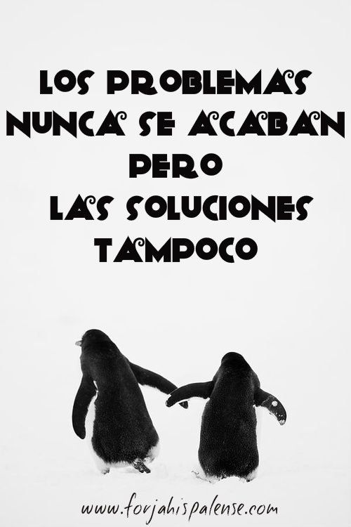 1d221763fba3871a7b3cda5fc905eaa3.jpg