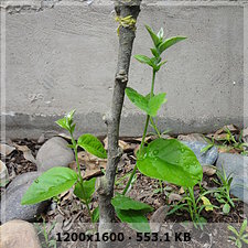 1ee860b1608c69377fa110938af8bc3fo.jpg