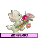 1eqwi0.gif