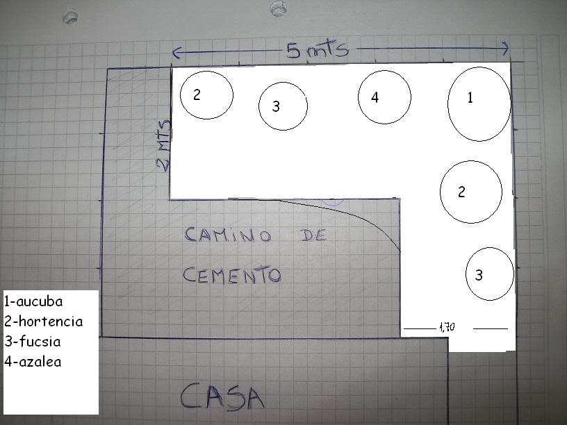 1erintento.jpg