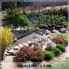 1f4fd7f425a21c5de4c316aaee43979eo.jpg