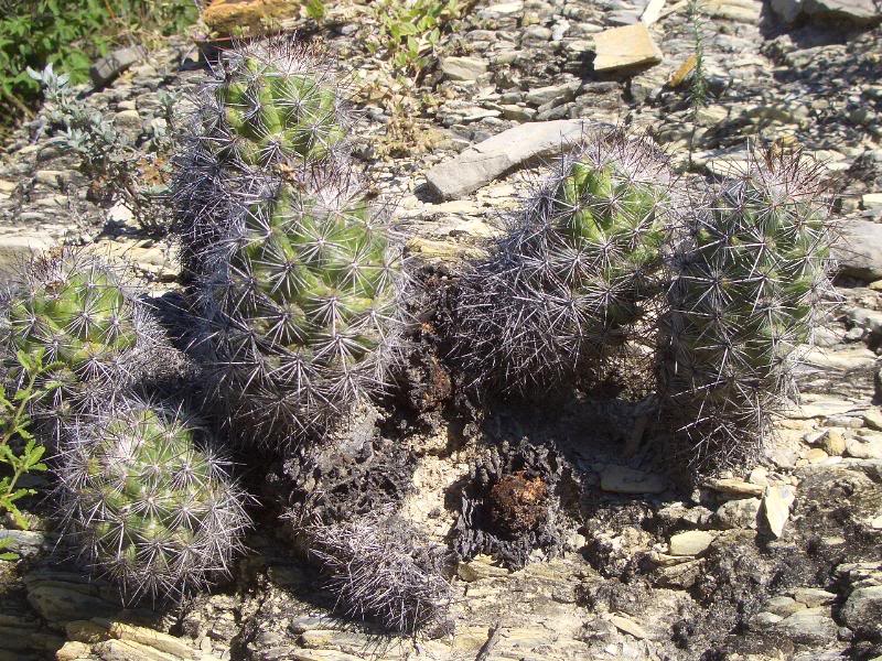 1Nov08074.jpg
