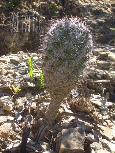 1Nov08123.jpg