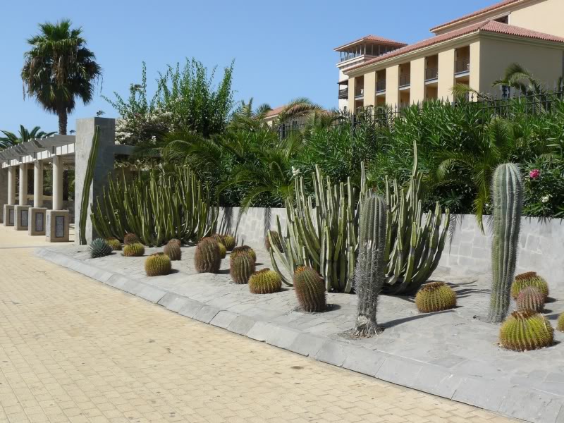 1P1000903.jpg