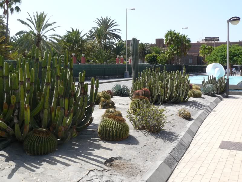 1P1000905.jpg