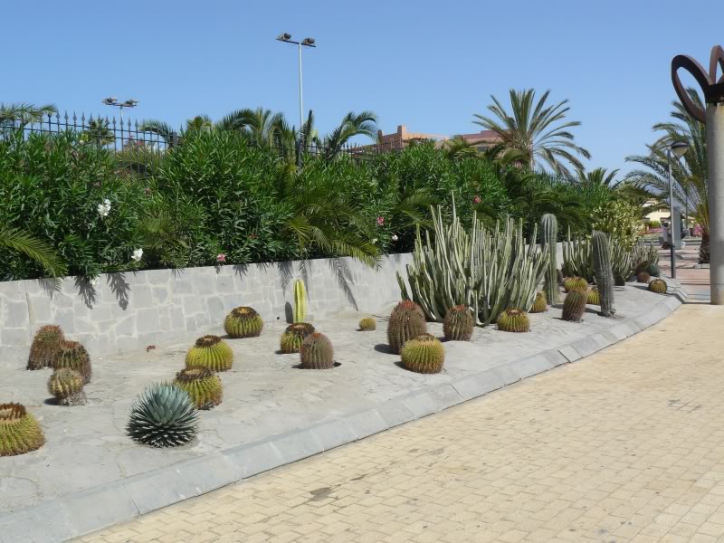 1P1000911.jpg