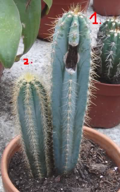 1z671g9.jpg