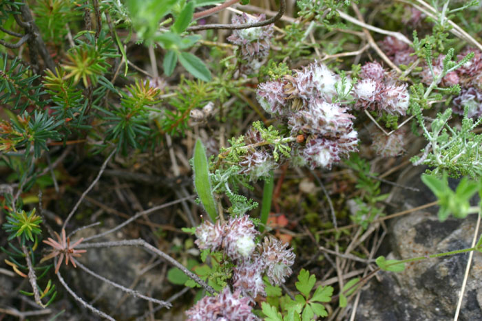 20-05-07_048.jpg