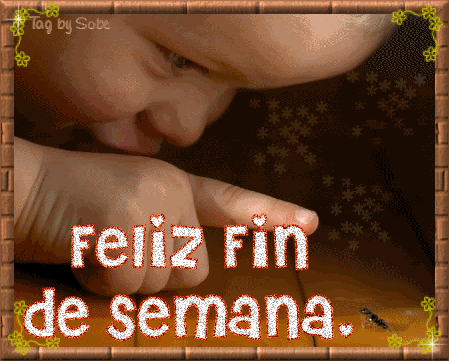 20.gif