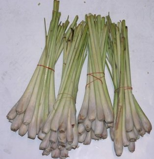 20-lemongrass.jpg