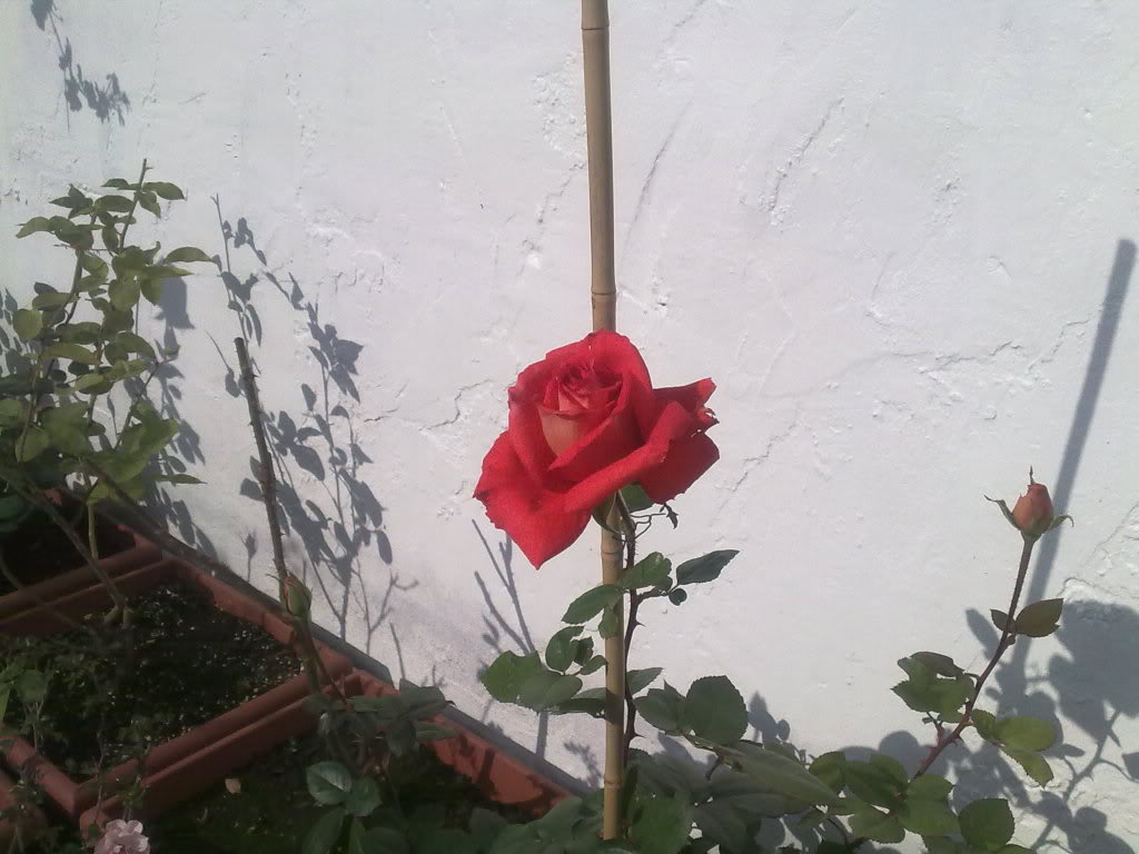 200120111132.jpg