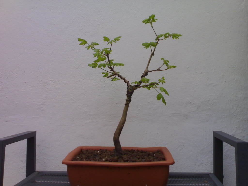 20032008242.jpg