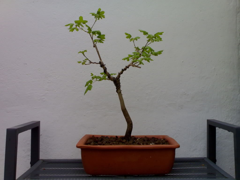 20032008243.jpg