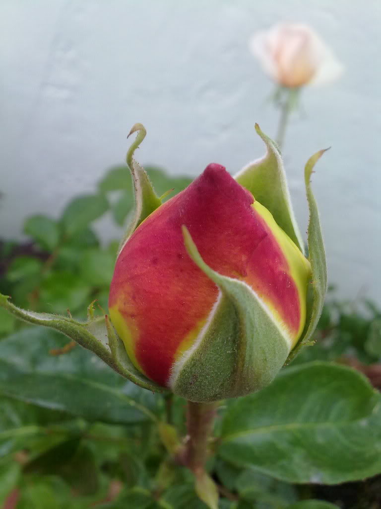 200420111497.jpg