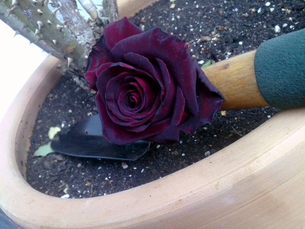 200420122944.jpg