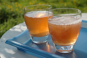 2005-7-13-health3_kombucha.jpg